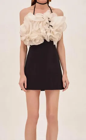 Alexis - Aisha Short Dress