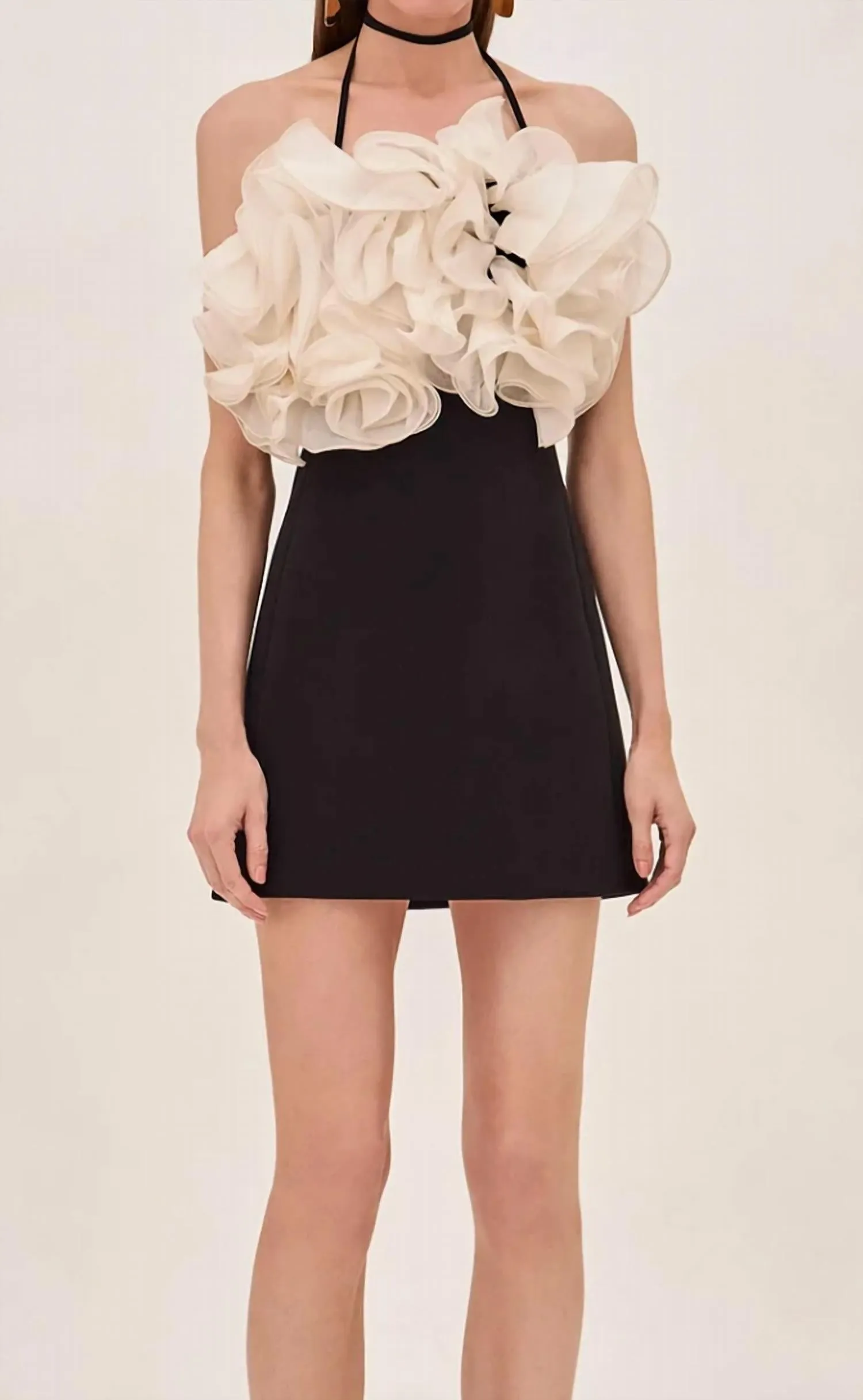 Alexis - Aisha Short Dress