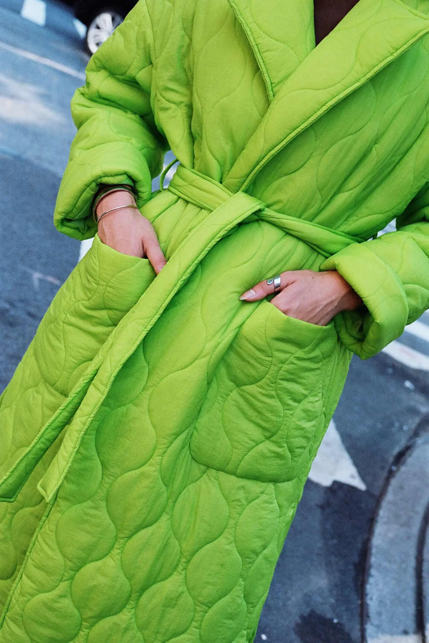 Premium Quality Roberta Puffer - Elegant Parakeet Design